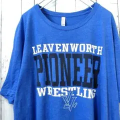カレッジロゴ Tシャツ 2XL 青 ビッグシルエット ストリート ゆるだぼ 古着