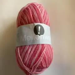 ⭐︎1679 LANA GROSSA海外ソックヤーン　中細　Meilenweit