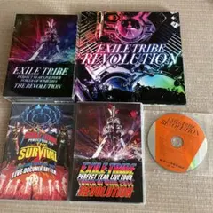 EXILE TRIBE/EXILE TRIBE PERFECT YEAR LI…