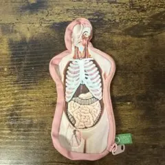 人体模型 キーホルダー 腸 消化器系 - メルカリ