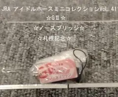 【JRA アイドルホースミニコレクションVoL.41☆GⅡ☆ノースブリッジ☆】