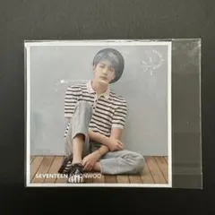 SEVENTEEN  セブチ ウォヌ 舞い落ちる花びら 握手会 エントリーカード