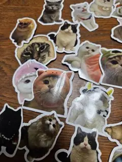 猫 ステッカー 大量セット