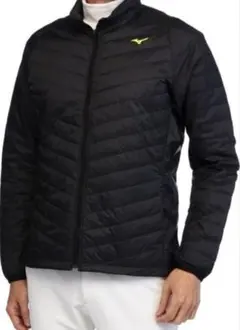 Item thumbnail for item cc834e8f-ef87-4a58-aed5-0c97d600c431