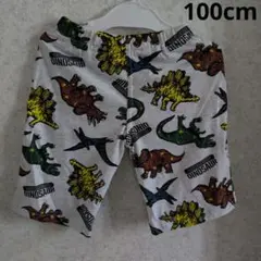 新品　恐竜柄ハーフパンツ 100cm