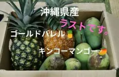 沖縄県産 　★キンコーマンゴー　★ゴールドバレル　（パイナップル）クール便込みのサムネイル