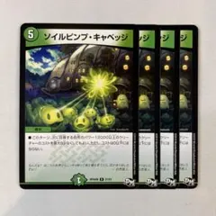 147595 ソイルピンプキャベッジ