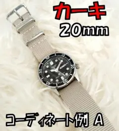 Item thumbnail for item 1ebe211a-e18c-4d72-8fe5-621b2ba371a8