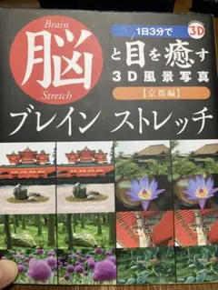 脳と目を癒す3D風景写真 京都編 ブレインストレッチ