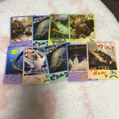 鳥羽水族館 コレクションカードVol.2 スナメリ - メルカリ
