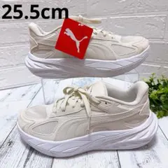 PUMA⭐️25.5cm ヒプノティック LS2 ユニセックス アイボリー 新品
