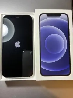 Apple iPhone 12 本体　64GB 箱付き