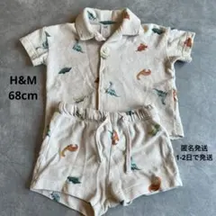 【H&M】恐竜 パイル地セットアップ 上下セット 匿名発送 送料込のサムネイル
