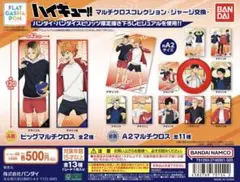 2026年最新】ハイキュー アクリルスタンド ジャージ交換の人気アイテム