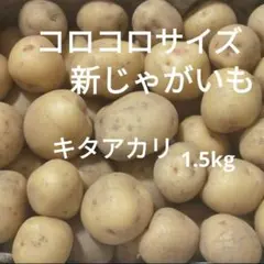 ホクホク食感(*´˘`*)【7/15発送】兵庫県産　キタアカリ　箱込み1.5kgのサムネイル