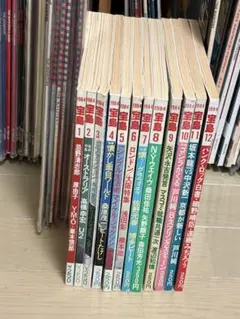 別冊宝島 24冊セット サブカルチャー アングラ 雑誌 絶版 レア カルチャー誌 別冊宝島 24冊セット サブカルチャー アングラ 雑誌 絶版 レア