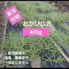 2026年最新】おかひじきの人気アイテム - メルカリ