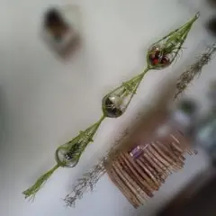 3連プラントハンガー（ライム）