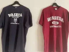 WASEDA University Tシャツ 2色セット