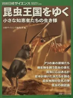 昆虫王国をゆく