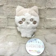 ちいかわ　ぬいぱれっと　ハチワレ
