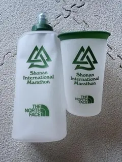 Item thumbnail for item d837b225-cf35-4132-9ea0-6956010b1baa