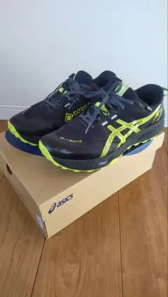 ASICS GEL-Trabuco 12 GTX 28.0cm