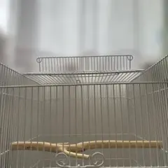 Item thumbnail for item e86b04ee-6861-43ef-9ffb-729ed1250626