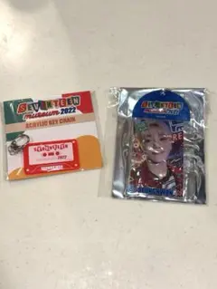 SEVENTEEN museum 2022 アクリルキーホルダー スングァン