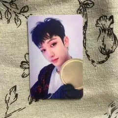 StrayKids SKZ IN生 subk 店舗特典 限定 トレカ バンチャン