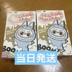 正規品・未開封LABUBU ラブブ EXCITING MACARON 2箱