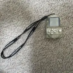 ポケットステーション