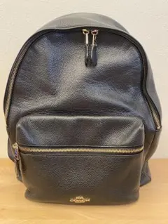 Item thumbnail for item eead733b-5e5e-4438-ab90-ab1c24d09e3c