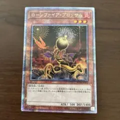 【週末限定値下】ローンファイア・ブロッサム　25th　クオシク　遊戯王