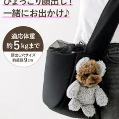 新品未使用タグ付き 顔出しベアバック グレー スリーコインズ - メルカリ