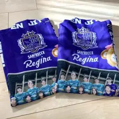 サンフレッチェ　ハッピ（2枚セット）