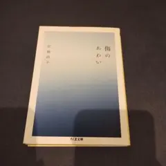 傷のあわい 宮地尚子