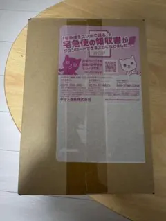 ポケモンカードゲーム レイジングサーフ　シュリンク付き　1BOX