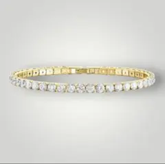 Item thumbnail for item 316c02df-9fba-4c7a-ad0c-ae54389ad99a