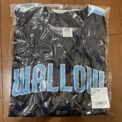 Item thumbnail for item 776fd261-8b4f-43a7-8efe-1f33ff59e2d0