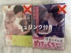 ハズレではじまる溺愛人生～仕組まれた恋の相手はハイスぺ社長3 他
