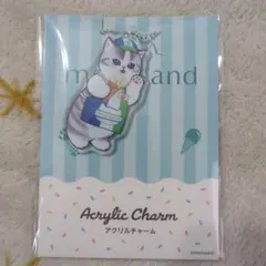 猫 アクリルチャーム ファミリーマート　ファミマ　モフサンド　アクリルチャーム