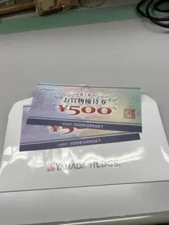 ヤマダ電機　株主優待　1000円分