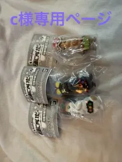 c様専用ページ 仮面にゃいだー