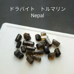 2025年最新】ジャジャルコットの人気アイテム - メルカリ