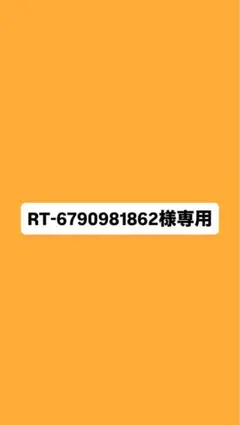 【専用】RT-6790981862様