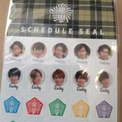 嵐　SexyZone　スケジュールシール