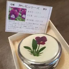 Item thumbnail for item b1a3e2db-d92a-419b-9b4e-cbee22b62b5c