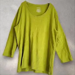 ST.JOHN'S BAY【L】ピスタチオ Vネック カットソー 希少色 春夏