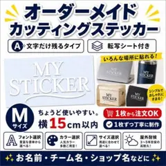 名前ステッカー Mサイズ オーダー カッティングステッカー バイク ヘルメット
